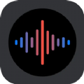 录音器专家app官方版下载 v1.1