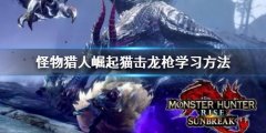 怪物猎人崛起曙光机关抽签之技怎么学 猫击龙枪学习方法