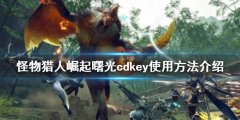 怪物猎人崛起cdkey如何使用 曙光cdkey使用方法介绍