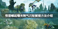 怪物猎人崛起曙光刚气刃斩怎么开 曙光刚气刃斩解锁方法介绍