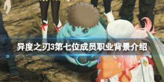 异度之刃3第七位英雄成员有哪些 第七位成员职业背景介绍