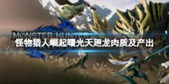 怪物猎人崛起天廻龙怎么打 曙光天廻龙肉质及产出