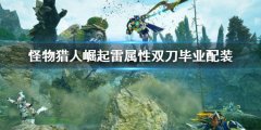 怪物猎人崛起曙光雷属性双刀配装 雷属性双刀毕业配装