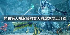 怪物猎人崛起曙光嗟怨震天怨虎龙弱点是什么 嗟怨震天怨虎龙弱点介绍