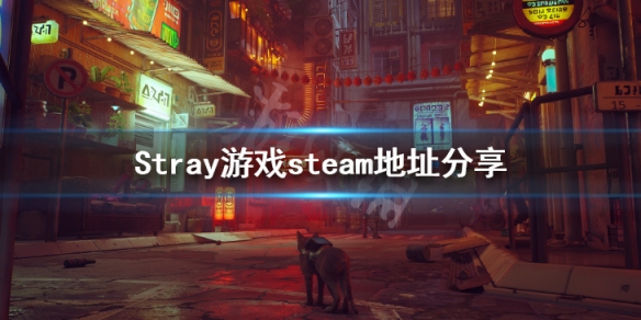 迷失Stray游戏steam地址分享 Stray游戏价格介绍