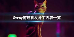 迷失Stray游戏首发补丁内容一览 Stray游戏首发更新内容有什么