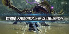 怪物猎人崛起麻痹双刀怎么玩 曙光麻痹双刀配装推荐