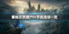 霍格沃茨遗产UI界面有哪些选项 UI界面选项一览