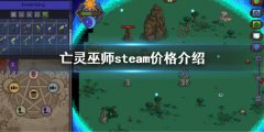 亡灵巫师steam多少钱 Necrosmith价格介绍
