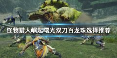 怪物猎人崛起双刀百龙珠如何选择 曙光双刀百龙珠选择推荐