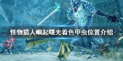 怪物猎人崛起着色甲虫在哪 曙光着色甲虫位置介绍