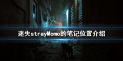 迷失Momo的笔记在哪 strayMomo的笔记位置介绍
