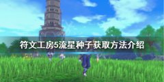 符文工房5流星种子如何获得 流星种子获取方法介绍