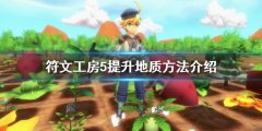 符文工房5如何提升地质 提升地质方法介绍