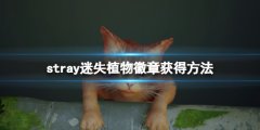 迷失stray植物徽章怎么获得 植物徽章获得方法