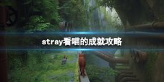 迷失stray看喵的成就攻略 灌篮怎么投中