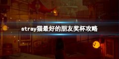 迷失stray猫最好的朋友奖杯攻略 猫最好的朋友怎么触发