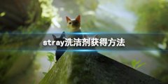 迷失stray洗衣店洗洁剂怎么拿 洗洁剂获得方法