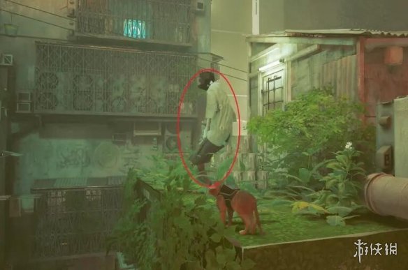 迷失stray洗衣店洗洁剂怎么拿 洗洁剂获得方法
