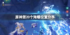 原神第20个海螺位置分享 2.8第20个海螺怎么获得