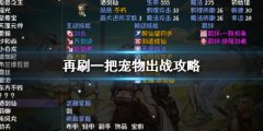 再刷一把宠物出战玩法 PlayAgain宠物出战攻略