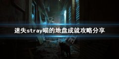 迷失喵的地盘成就怎么做 stray喵的地盘成就攻略分享
