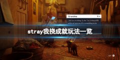 迷失我挠成就怎么玩 stray我挠成就玩法一览