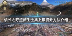 信长之野望新生如何提升士兵上限 士兵上限提升方法介绍