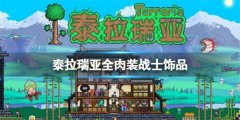 泰拉瑞亚全肉装战士如何选择出装-肉装战士饰品出装搭配推荐