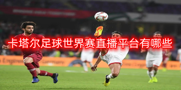 卡塔尔足球预测比分软件大全