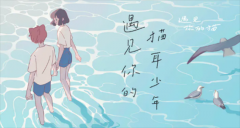 遇见你的猫怎么获得爱心-爱心获取方法