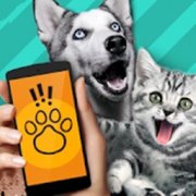动物翻译器app下载安装  