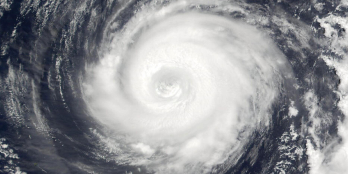 可以查询台风的软件合集