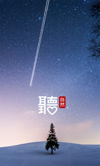 中兴音乐手机