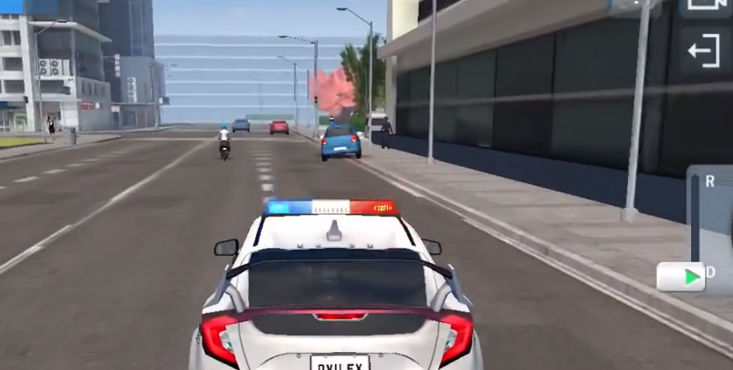 警察驾驶模拟2022(Police Sim 2022)