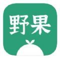 野果小说阅读器app  