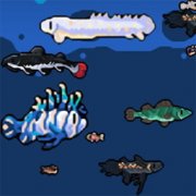 模拟水族馆1游戏