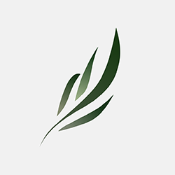 东南小说软件下载v1.4.08 最新版