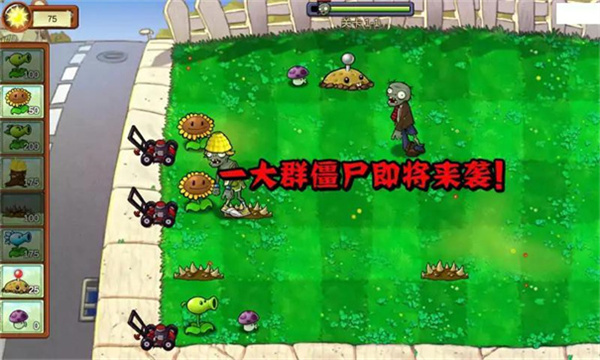 植物大战僵尸重生
