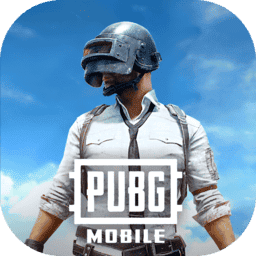 pubg国际服地铁逃生v3.9.0  安卓版